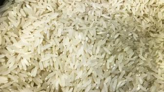 Anulação de leilão para importar arroz foi acertada, dizem produtores.
