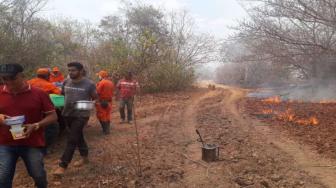 Moradores e brigadistas se unem para combater as chamas e pedem socorro.