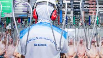 Apesar de ainda não ter registrado nenhum caso da doença no Tocantins, governo já está adotando medidas para reduzir impactos da zoonose.