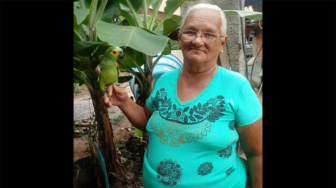 No mesmo período desse ano, 220 óbitos foram registrados.