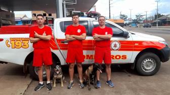 Grupo é formado por três militares e dois cães farejadores. Região do Grande Recife tem pelo menos 16 pessoas desaparecidas e 6.198 desabrigados.