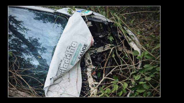 Foto: Divulga&ccedil;&atilde;o