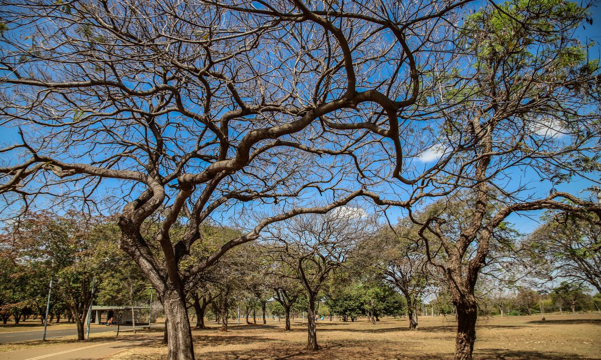 Foto: Antônio Cruz/Agência Brasil