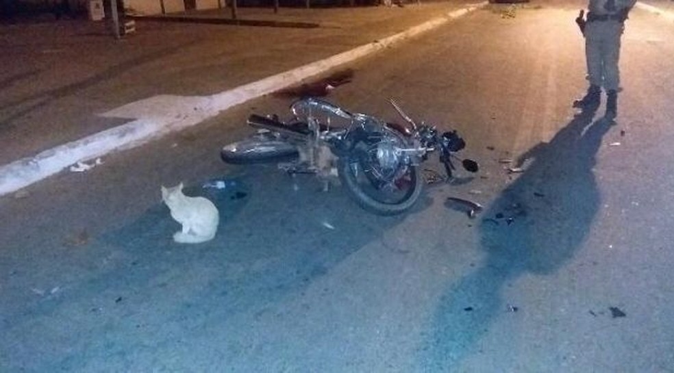 Acidente entre motos deixa dois mortos e dois feridos em Babaçulândia — Foto: Divulgação