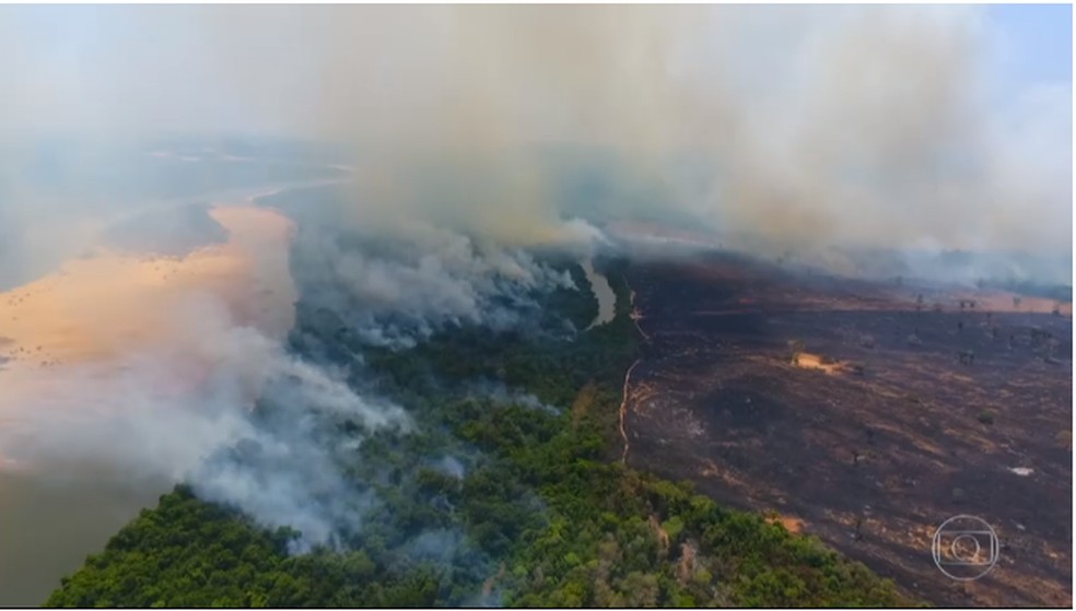 Projeto quer recuperar áreas degradadas no Parque Estadual do Cantão — Foto: Reprodução/TV Globo
